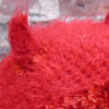 Devil Hat